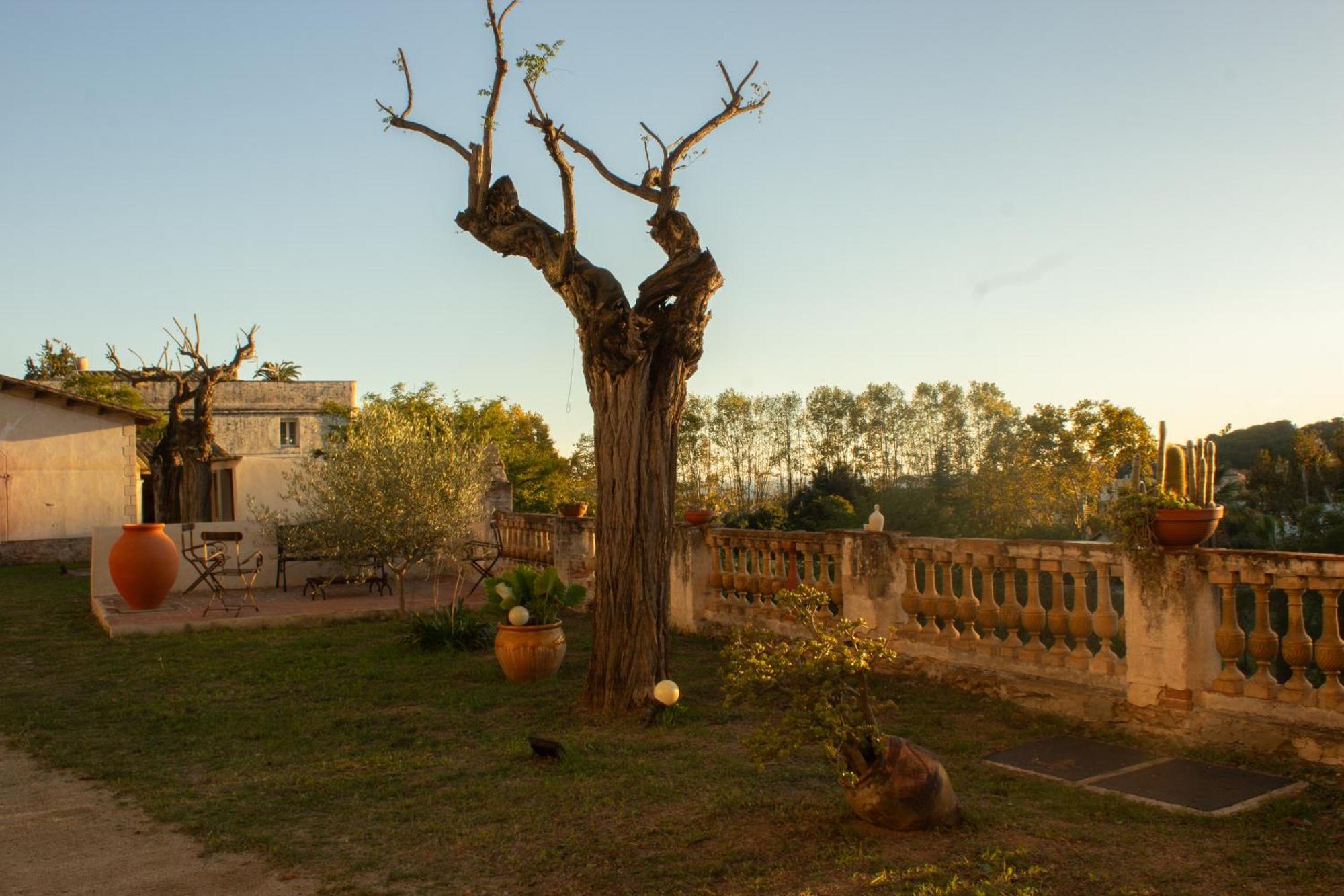 Can Rovira - Stunning Neoclassical Mansion, Just 20 Min Drive From Barcelona City Center, Ideal For Groups And Families Alella Exteriér fotografie